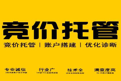 竞价推广SEM托管服务案例解析